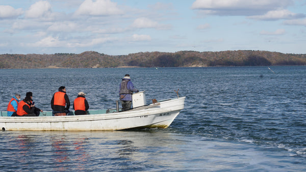 カキえもんSマルえもんLL 2種食べ比べ20個セット