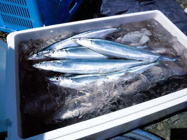 さんま飯寿司 2パックセット