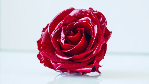 【薔薇プリザーブドフラワー】Eternal Love