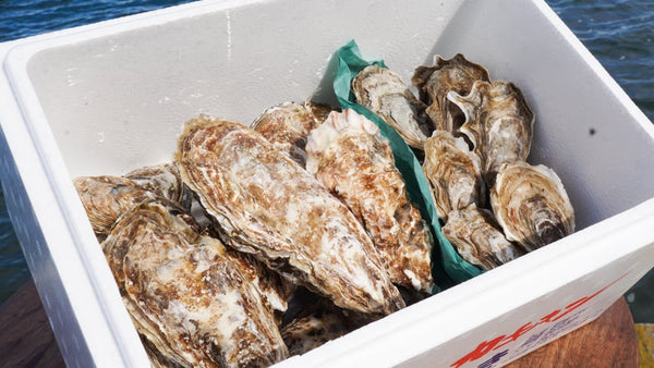 カキえもんSマルえもんLL 2種食べ比べ20個セット