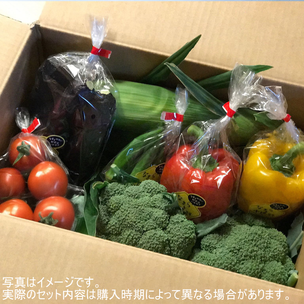 ■夏限定■ 北海道産 夏野菜7種盛セット