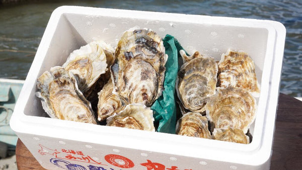 カキえもん2サイズ食べ比べ20個セット
