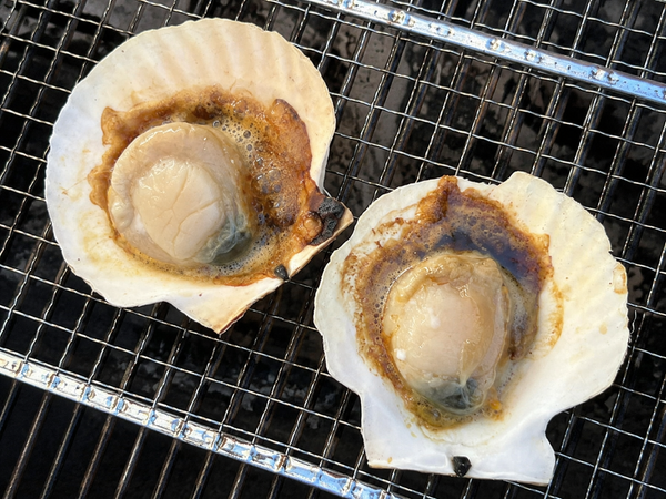 浜ゆで・浜仕込み 北海道根室海鮮セット