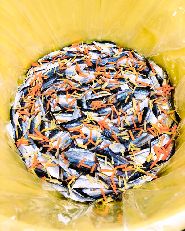 さんま飯寿司 2パックセット