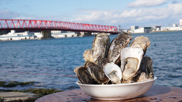カキえもんSマルえもんLL 2種食べ比べ20個セット
