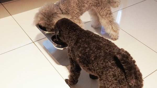 オールステンレス ペットボウルスタンド