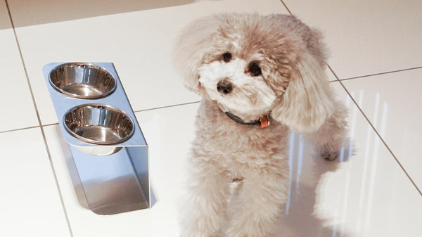 オールステンレス ペットボウルスタンド