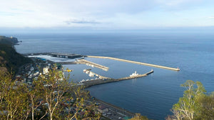 【羅臼視察DAY1】“羅”の海を知る、ヤブコレ海鮮合宿。