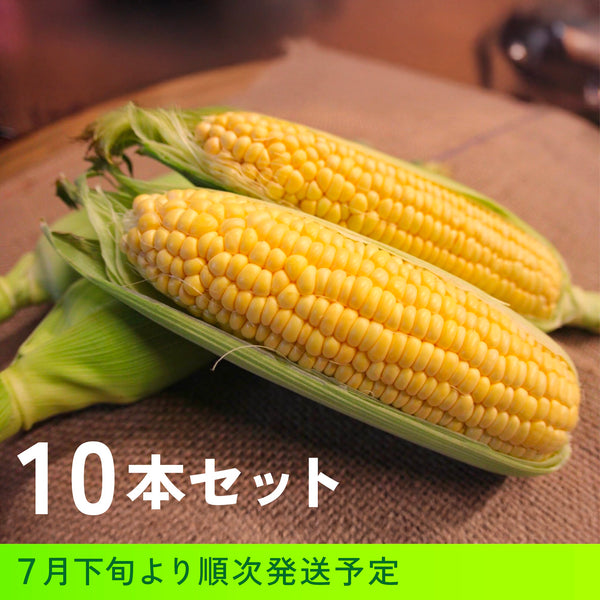【予約受付中】北海道産とうもろこし10本セット