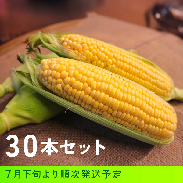 【予約受付中】北海道産とうもろこし30本セット
