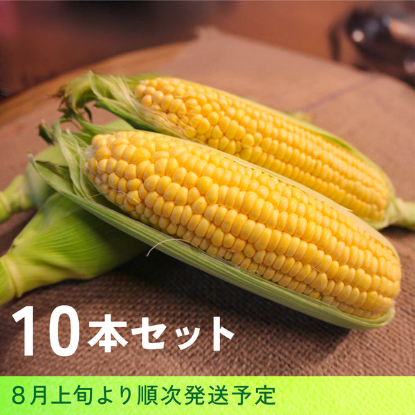 【予約受付中】北海道産とうもろこし10本セット