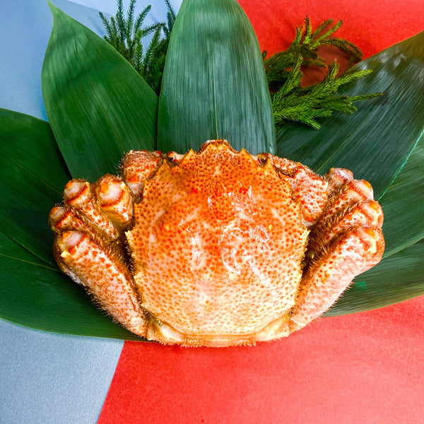 北海道産 毛ガニの宴セット