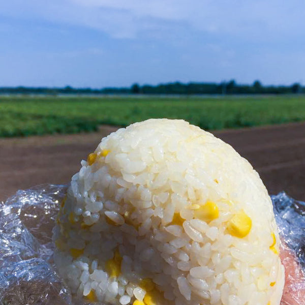 【予約受付中】北海道産とうもろこし10本セット