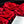 薔薇プリザーブドフラワーギフトBOX【Lsize】
