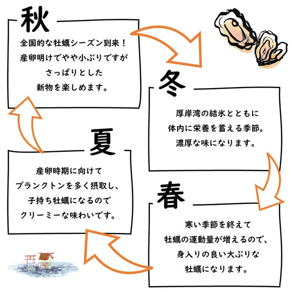 カキえもんSマルえもんLL 2種食べ比べ20個セット